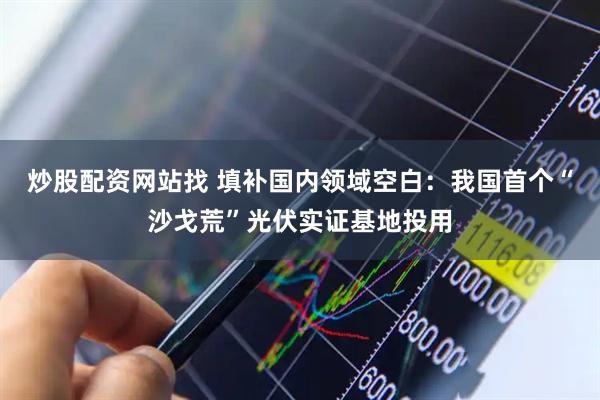 炒股配资网站找 填补国内领域空白：我国首个“沙戈荒”光伏实证基地投用